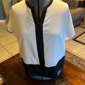 Ladies blouse Sz L by Dana Buchman like new condition
